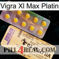 Vigra Xl Max Platinum new06